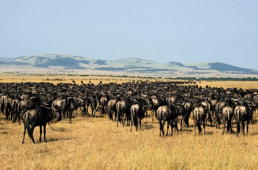 Serengeti National Park