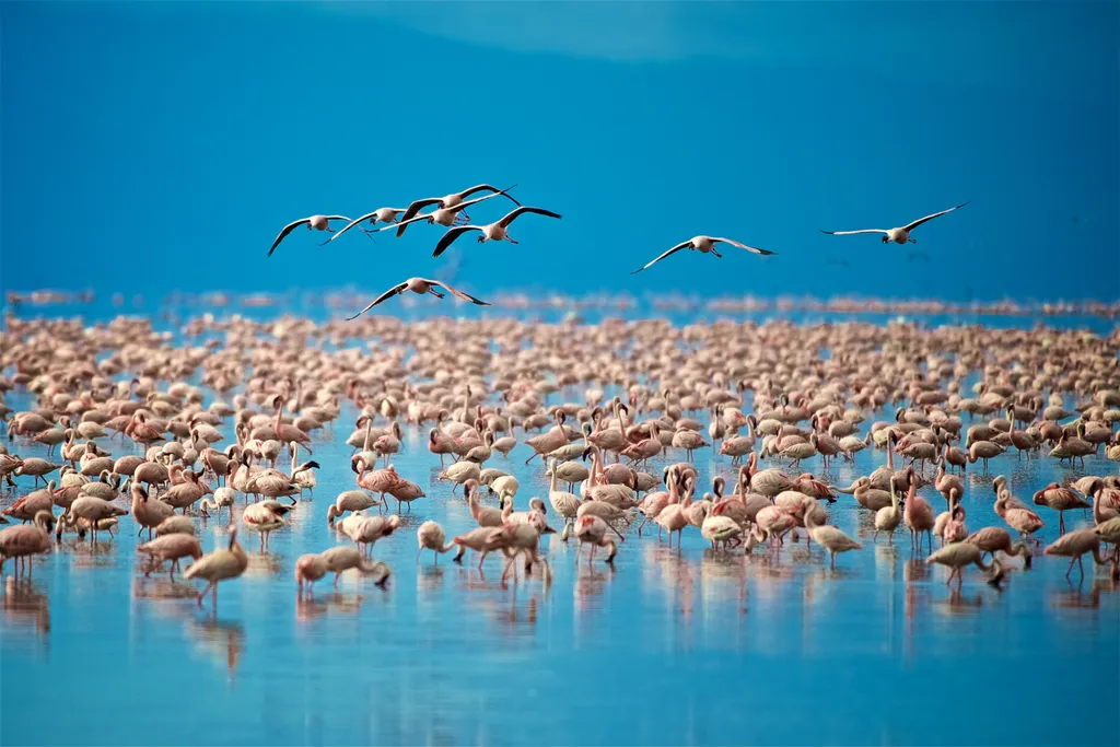 Lake Manyara National Park