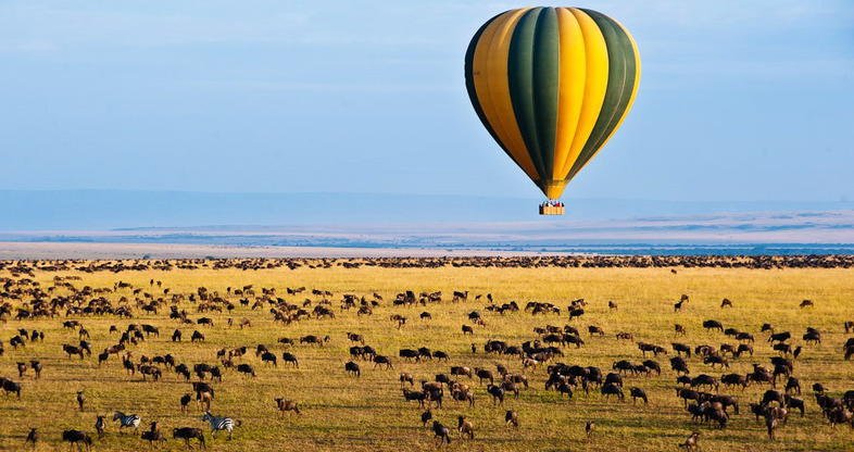 Balloon Safaris