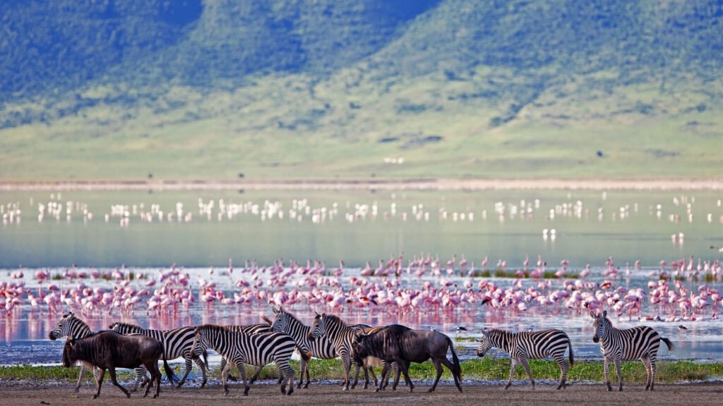 Ngorongoro Crater